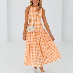 NWT Dropwaist Gingham Dress